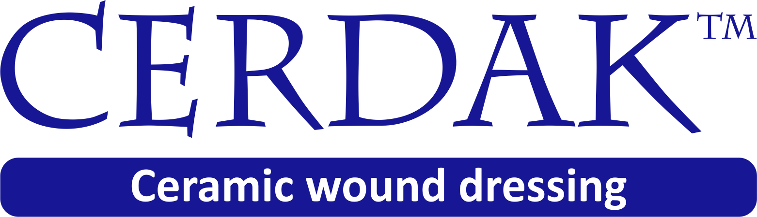 Cerdak logo Cerdak logo